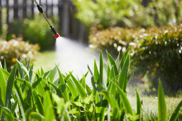 24/7 Emergency Mosquito Control experts in Olmsted Falls, OH